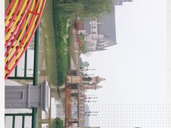 -荷兰花海