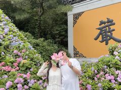-灵顺寺