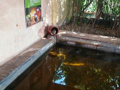 -仁爱团泊湖温泉中心