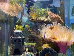 -太平洋海底世界