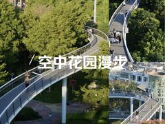 -仙岳公园