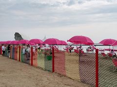 -碧海金沙