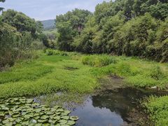 -悦禧耕岛酒店·指月坞餐厅·旺山特色农家乐