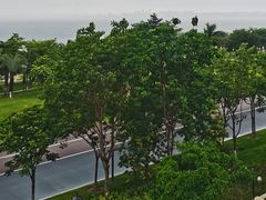 -海豚湾·大堂吧(厦门佰翔波特曼七星湾酒店)