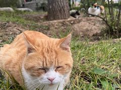 -燕郊植物园