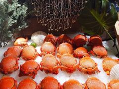 -芭菲盛宴·环球美食(袁家岗店)