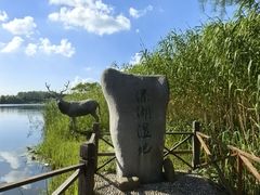 -溱湖国家湿地公园