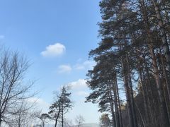 -长春净月潭风景名胜区
