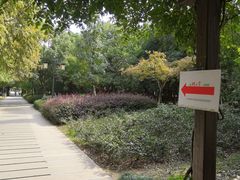 -白马涧龙池景区