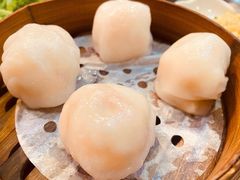 添运来虾饺皇-添运来(茶园奥园广场店)