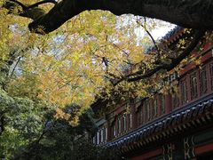 -灵谷景区