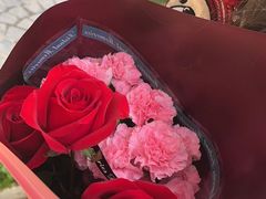 -曲阳花鸟市场(曲阳路店)