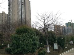 -五里湖湿地公园