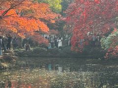 -秋霞圃