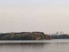 -海珠湖公园