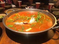 酸汤江团鱼-野山舂·贵州现舂酸汤牛肉(东山店)