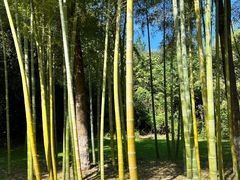 -天目湖御水温泉·度假酒店