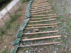 -铁山坪森林公园