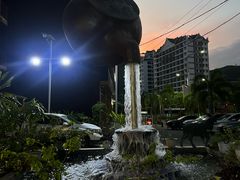 -傣家黑山羊汤锅(告庄店)