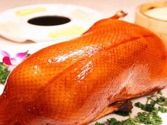 -西安烤鸭店(369烤鸭王店)