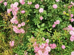 -盘龙城国家考古遗址公园