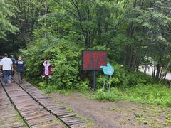 -五营红松林海景区