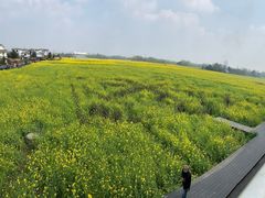 -桤木河湿地公园