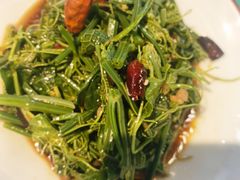 木姜子油丝瓜尖-川正旺江湖菜(三元桥店)