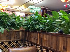 -赵记煎饼卷大葱(东岳店)