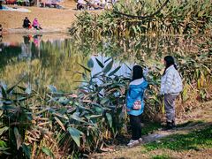 -两河城市森林公园