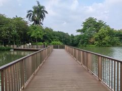 -海珠湖公园