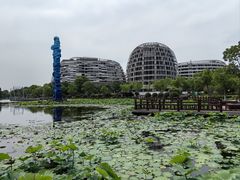 -海天湖公园