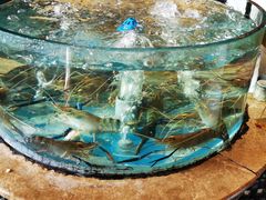-红樽舫湖州菜.湖景餐厅(太湖渔人码头店)