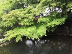 -西湖外事游船(花港观鱼码头)