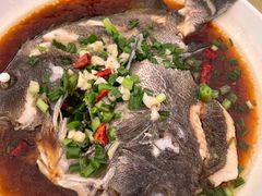 -江南村海鲜馆(洞头店)