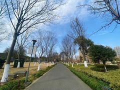 -院士公园