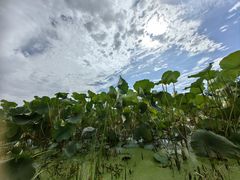 -长春市南湖公园