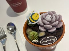 -哈根达斯(天河城店)