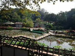 -广州莲花山旅游区