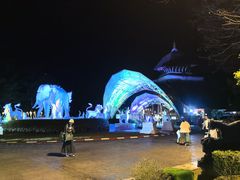 -清迈夜间动物园