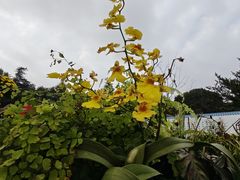 -南山植物园