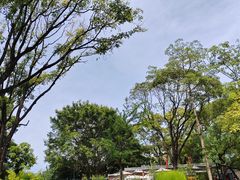 -云溪植物园
