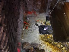 -大龙辣火锅·龙虾·烧烤(湖滨新天地店)