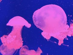 -沈阳海洋探索中心