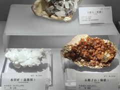 -湖南省地质博物馆