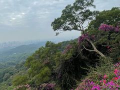 -广州市白云山风景名胜区