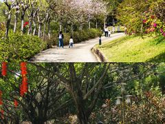 -广州莲花山旅游区