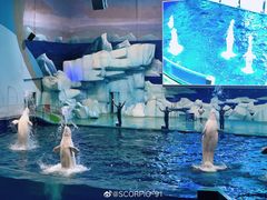-福州罗源湾海洋世界旅游区