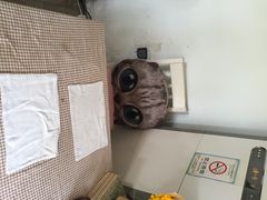 海边的猫和咖啡馆-海边的猫和咖啡馆