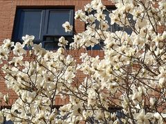 -北京市海淀外国语实验学校